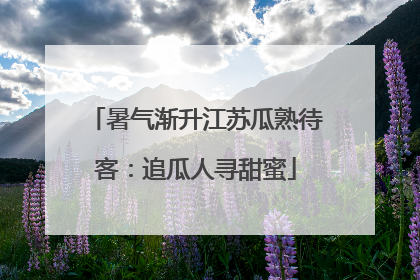暑气渐升江苏瓜熟待客：追瓜人寻甜蜜