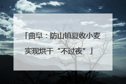 曲阜：防山镇夏收小麦实现烘干“不过夜”