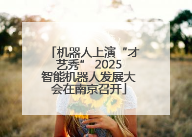 机器人上演“才艺秀” 2025智能机器人发展大会在南京召开