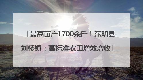 最高亩产1700余斤！东明县刘楼镇：高标准农田增效增收