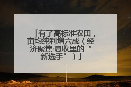 有了高标准农田，亩均纯利增六成（经济聚焦·夏收里的“新选手”）