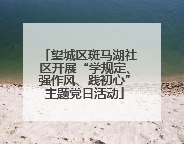望城区斑马湖社区开展“学规定、强作风、践初心”主题党日活动