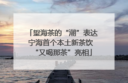 望海茶的“潮”表达 宁海首个本土新茶饮“又喝那茶”亮相