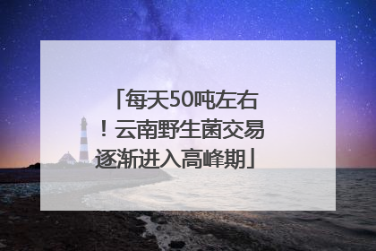 每天50吨左右！云南野生菌交易逐渐进入高峰期