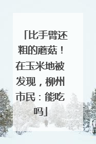 比手臂还粗的蘑菇！在玉米地被发现，柳州市民：能吃吗