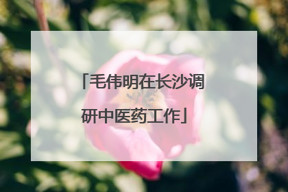 毛伟明在长沙调研中医药工作