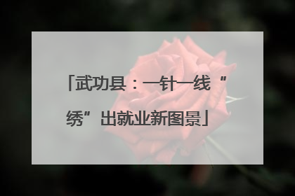 武功县：一针一线“绣”出就业新图景