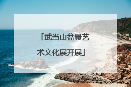 武当山盆景艺术文化展开展