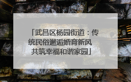 武昌区杨园街道：传统民俗邂逅婚育新风 共筑幸福和谐家园