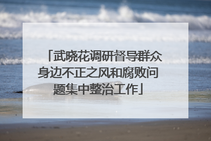 武晓花调研督导群众身边不正之风和腐败问题集中整治工作