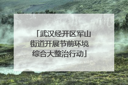 武汉经开区军山街道开展节前环境综合大整治行动