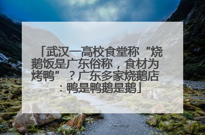 武汉一高校食堂称“烧鹅饭是广东俗称，食材为烤鸭”？广东多家烧鹅店：鸭是鸭鹅是鹅