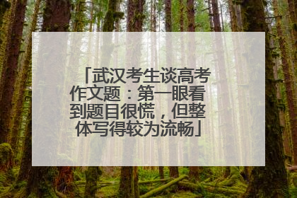 武汉考生谈高考作文题：第一眼看到题目很慌，但整体写得较为流畅