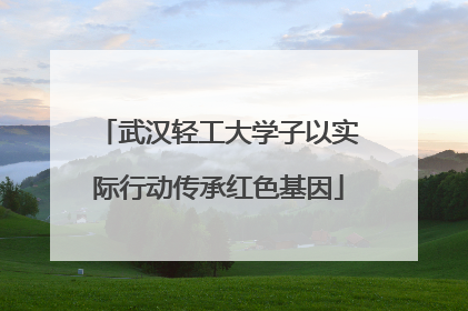 武汉轻工大学子以实际行动传承红色基因