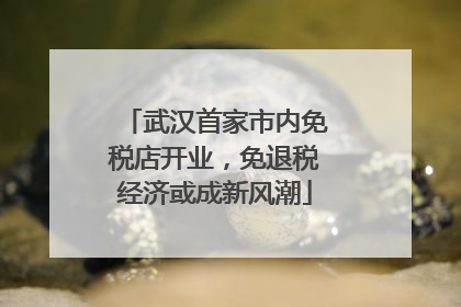 武汉首家市内免税店开业，免退税经济或成新风潮