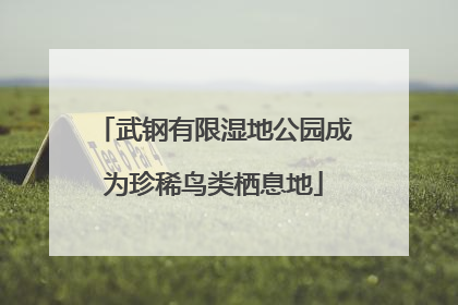 武钢有限湿地公园成为珍稀鸟类栖息地