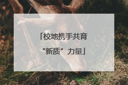 校地携手共育“新质”力量
