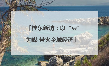 桂东新坊：以“豆”为媒 带火乡域经济