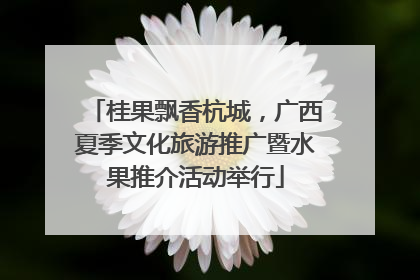 桂果飘香杭城，广西夏季文化旅游推广暨水果推介活动举行