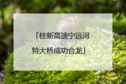 桂新高速宁远河特大桥成功合龙