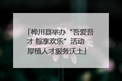 桦川县举办“吾爱吾才 粽享欢乐”活动 厚植人才服务沃土