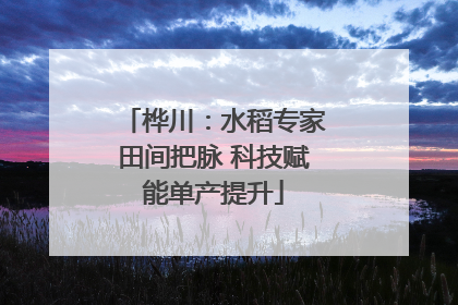 桦川：水稻专家田间把脉 科技赋能单产提升