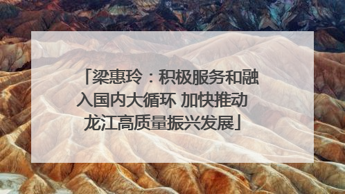 梁惠玲：积极服务和融入国内大循环 加快推动龙江高质量振兴发展
