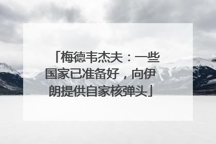 梅德韦杰夫：一些国家已准备好，向伊朗提供自家核弹头