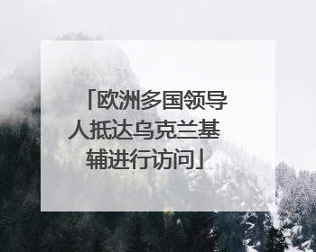 欧洲多国领导人抵达乌克兰基辅进行访问