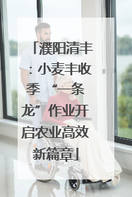 濮阳清丰：小麦丰收季 “一条龙”作业开启农业高效新篇章