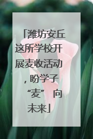 潍坊安丘这所学校开展麦收活动，盼学子 “麦” 向未来