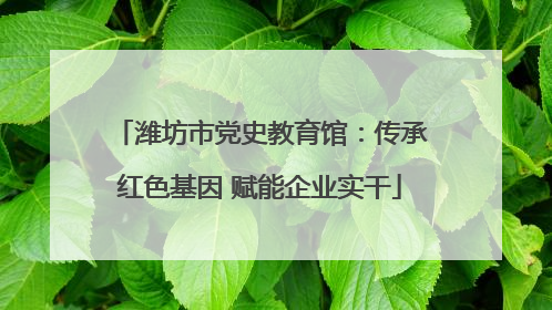 潍坊市党史教育馆：传承红色基因 赋能企业实干