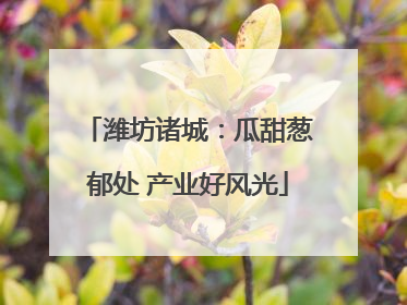 潍坊诸城：瓜甜葱郁处 产业好风光
