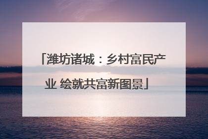 潍坊诸城：乡村富民产业 绘就共富新图景