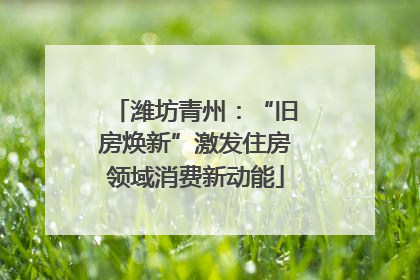 潍坊青州：“旧房焕新”激发住房领域消费新动能