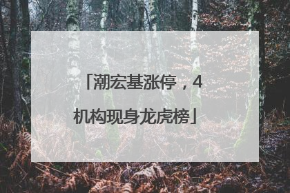 潮宏基涨停，4机构现身龙虎榜