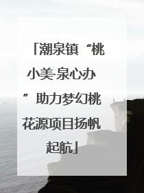 潮泉镇“桃小美·泉心办”助力梦幻桃花源项目扬帆起航