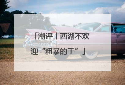 潮评丨西湖不欢迎“粗暴的手”
