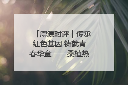 澧源时评｜传承红色基因 铸就青春华章——桑植热土上的青春长征