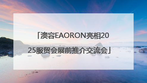 澳容EAORON亮相2025服贸会展前推介交流会
