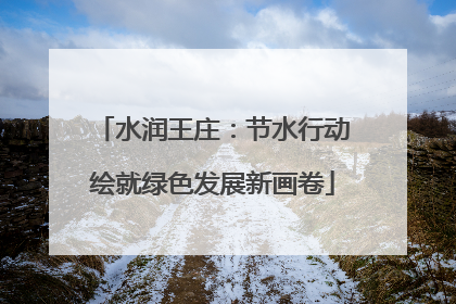 水润王庄：节水行动绘就绿色发展新画卷