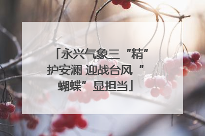 永兴气象三“精”护安澜 迎战台风“蝴蝶”显担当