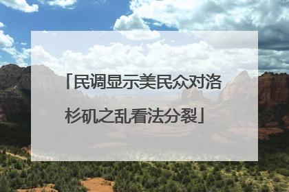 民调显示美民众对洛杉矶之乱看法分裂