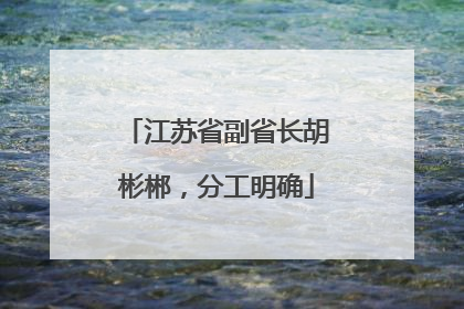 江苏省副省长胡彬郴，分工明确