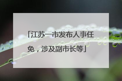 江苏一市发布人事任免，涉及副市长等