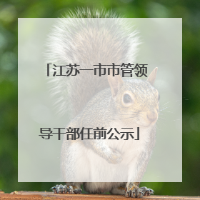 江苏一市市管领导干部任前公示