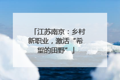 江苏南京：乡村新职业，激活“希望的田野”