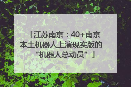 江苏南京：40+南京本土机器人上演现实版的“机器人总动员”