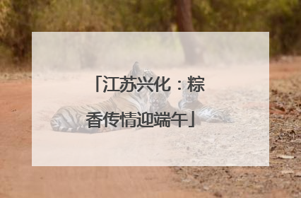 江苏兴化：粽香传情迎端午