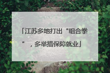 江苏多地打出“组合拳”，多举措保障就业